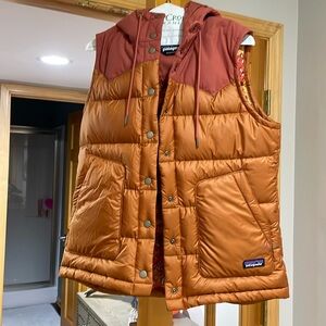 Patagonia hooded puffer vest